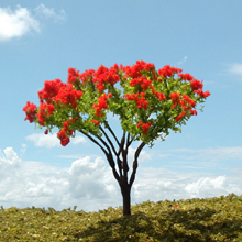 model trees